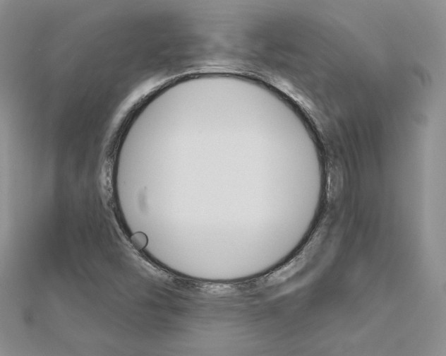 X0000113061454200908280936