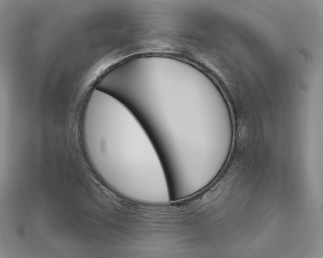 X0000113061455200908280936