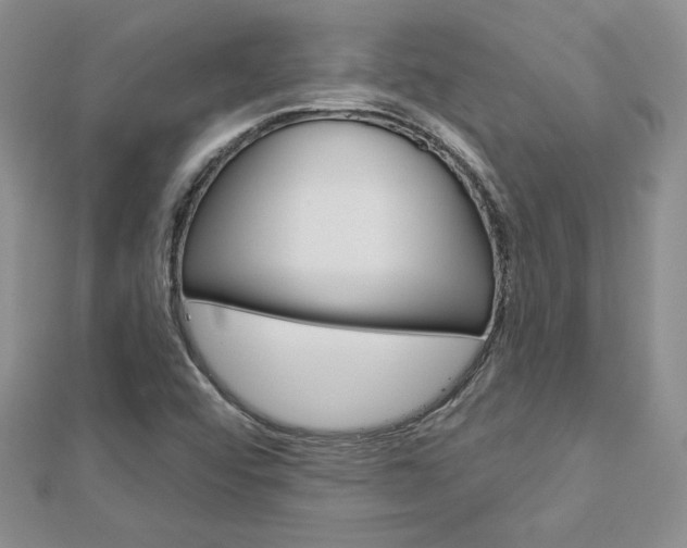 X0000113061456200908280936