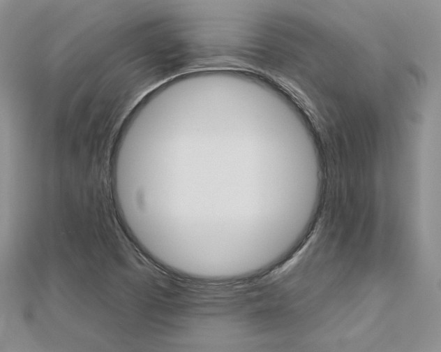 X0000113061457200908280936