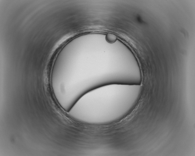 X0000113061458200908280936