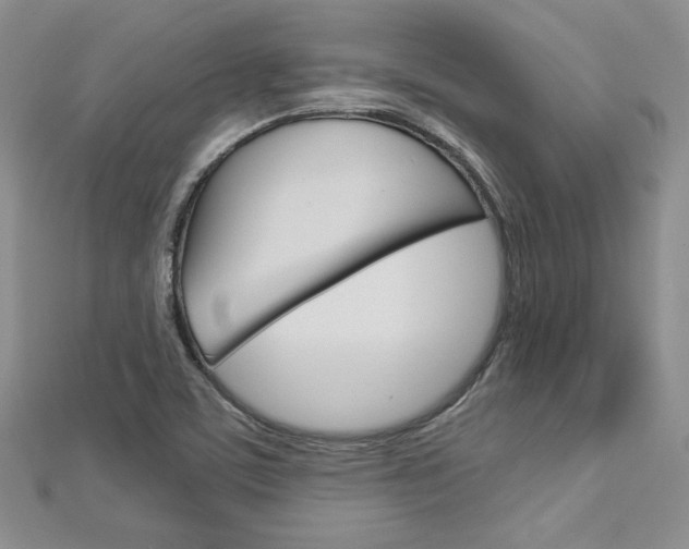 X0000113061459200908280936