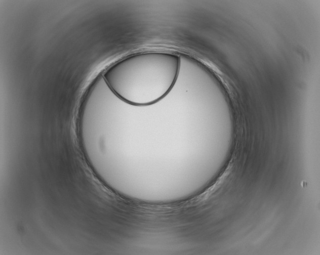 X0000113061461200908280936