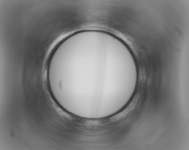 X0000113061462200908280936