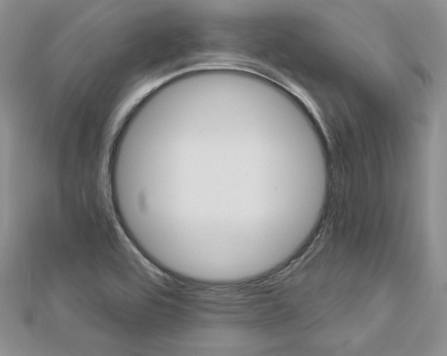 X0000113061464200908280936