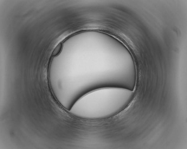 X0000113061465200908280936