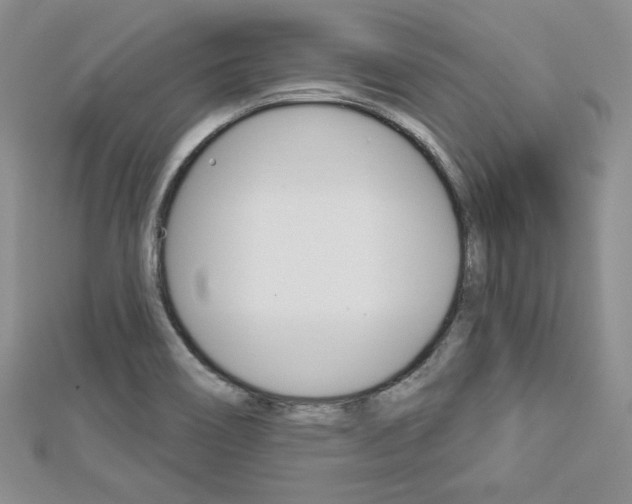 X0000113061466200908280936