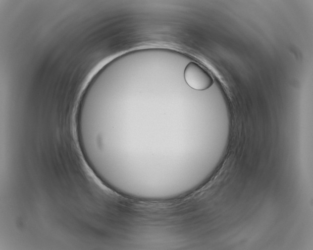 X0000113061468200908280936