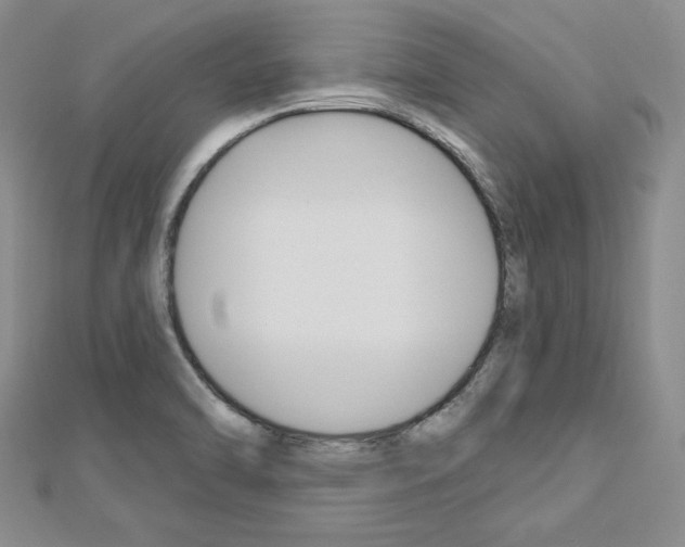 X0000113061470200908280936