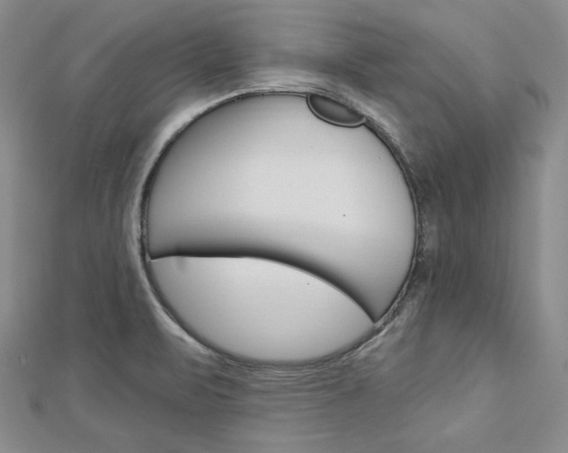 X0000113061471200908280936