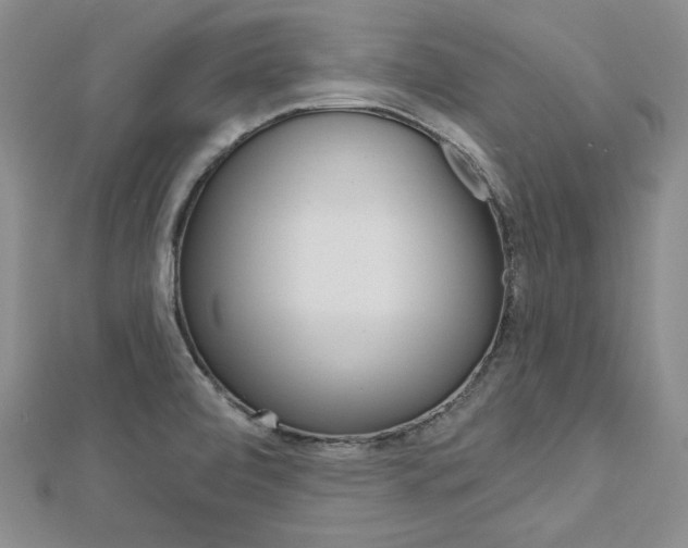 X0000113061472200908280936