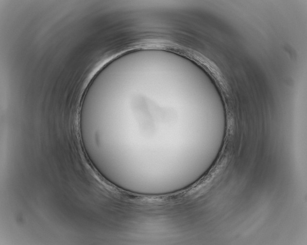 X0000113061473200908280936