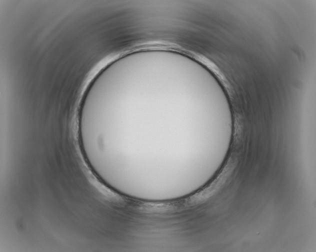X0000113061474200908280936