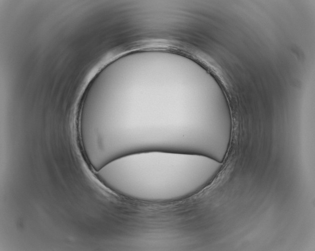 X0000113061475200908280936