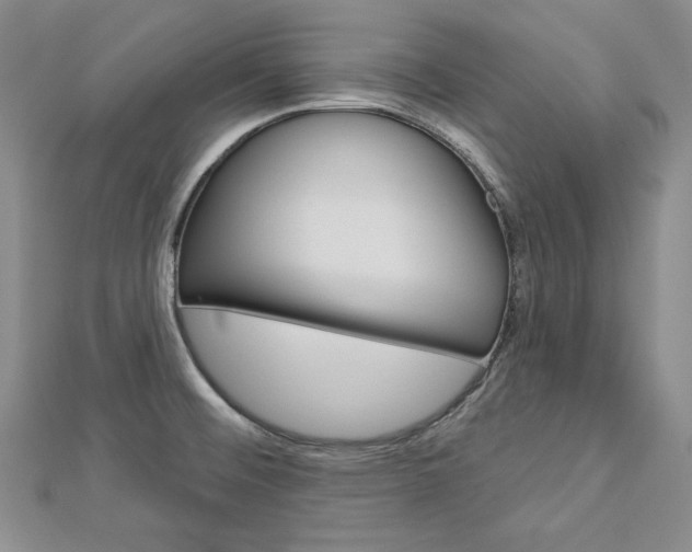 X0000113061476200908280936