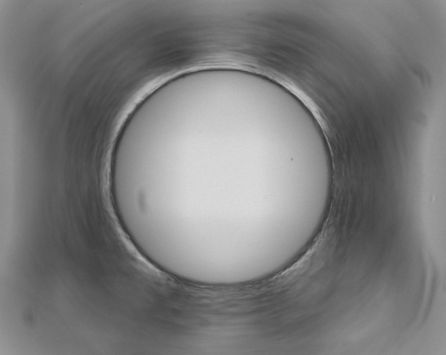 X0000113061477200908280936
