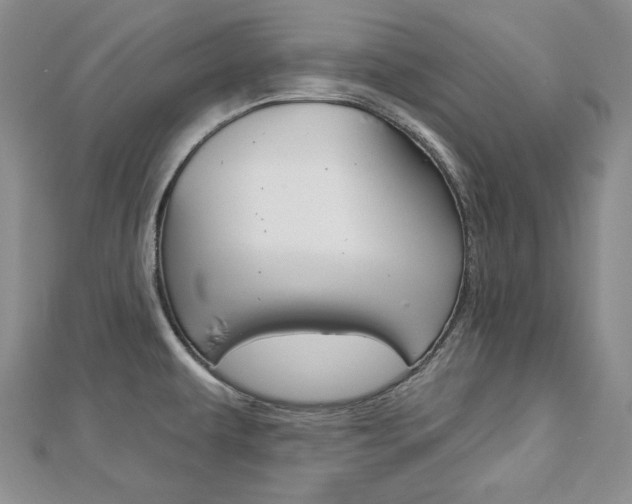 X0000113061479200908280936