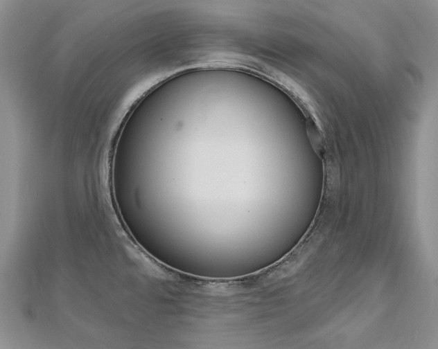 X0000113061480200908280936