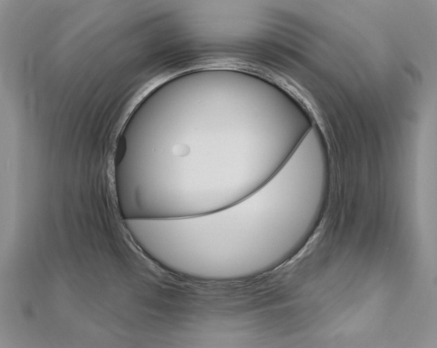 X0000113061481200908280936