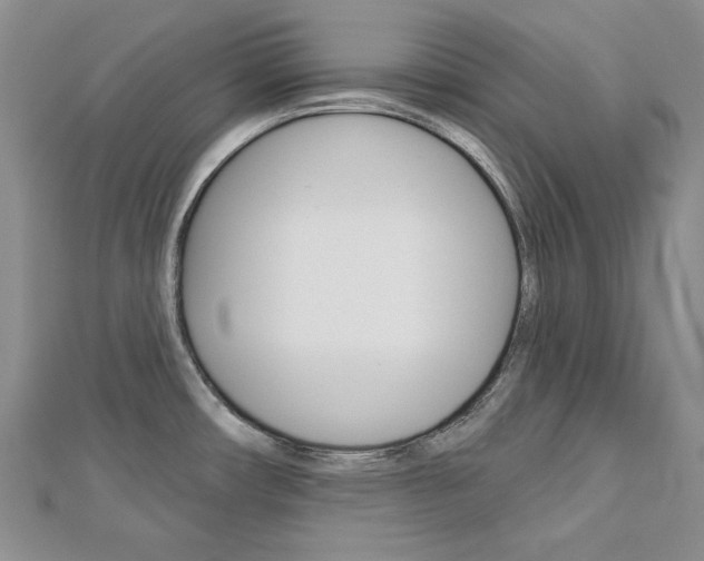 X0000113061482200908280936