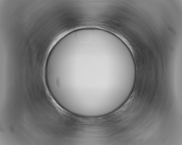 X0000113061485200908280936