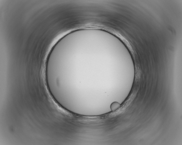 X0000113061486200908280936