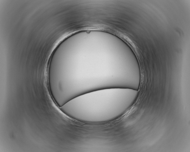 X0000113061487200908280936