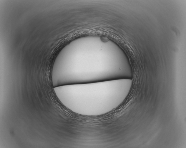 X0000113061490200908280935