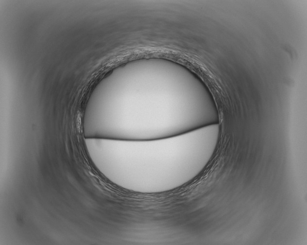 X0000113061492200908280935