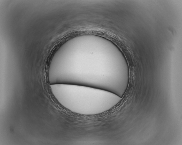 X0000113061493200908280935