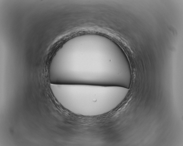 X0000113061494200908280935