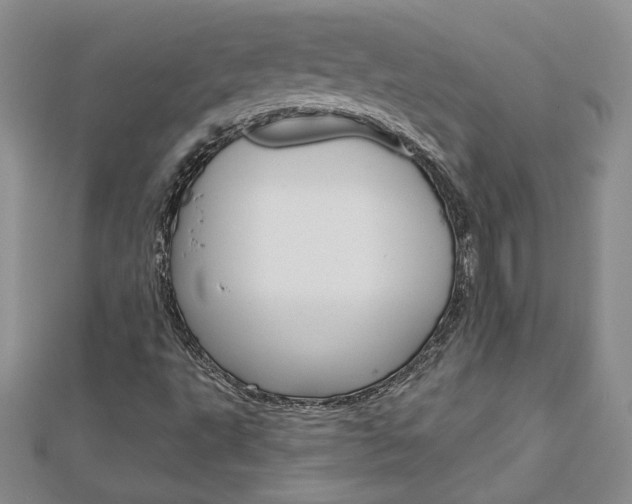 X0000113061495200908280935