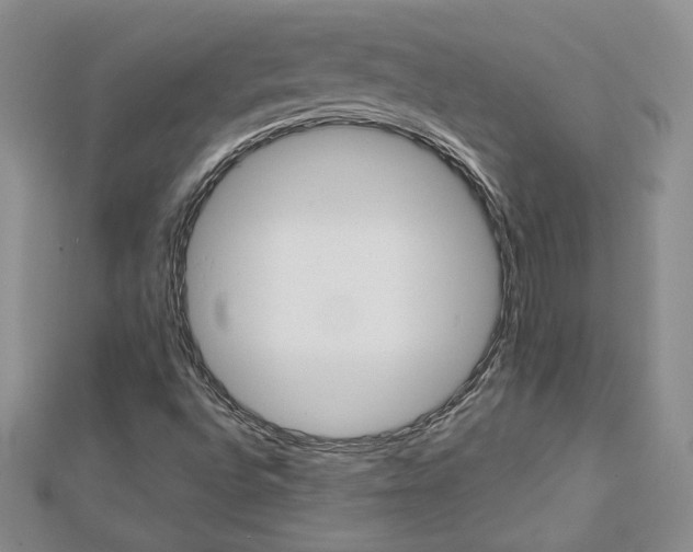 X0000113061496200908280935