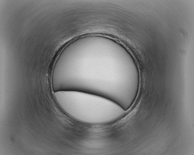 X0000113061497200908280935