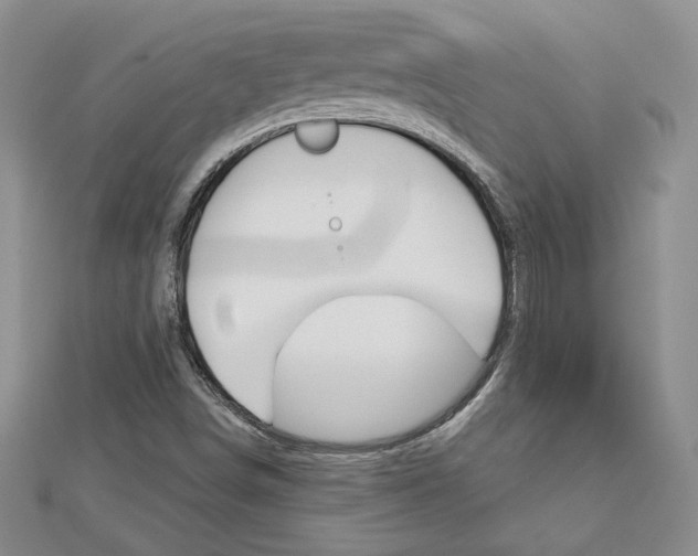 X0000113061498200908280935