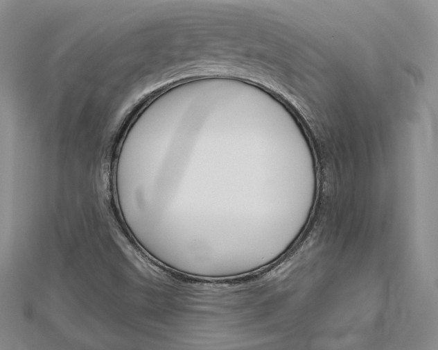 X0000113061499200908280935