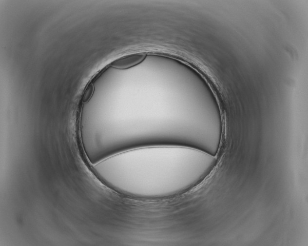X0000113061500200908280935