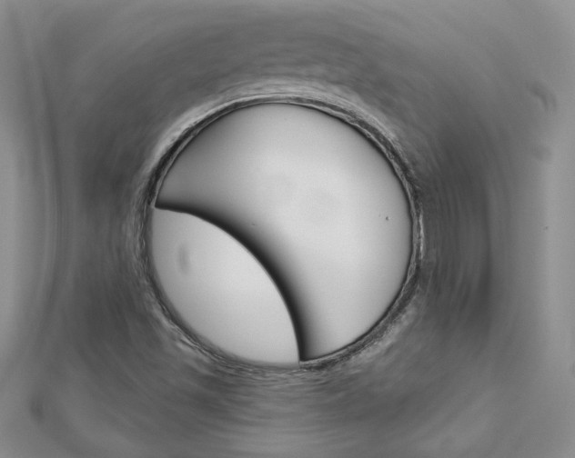 X0000113061501200908280935