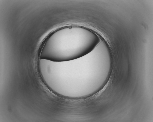 X0000113061502200908280935
