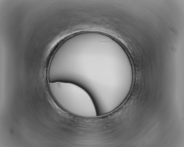 X0000113061503200908280935