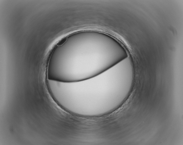 X0000113061504200908280935