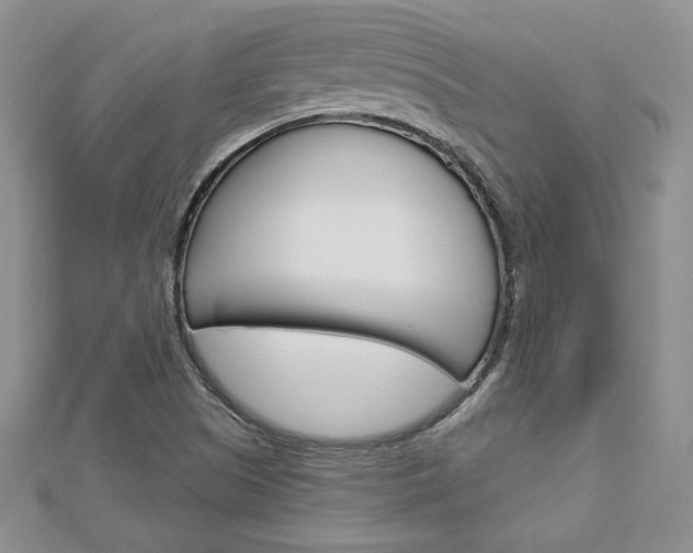 X0000113061505200908280935