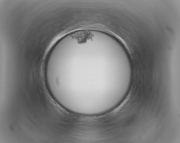 X0000113061506200908280935