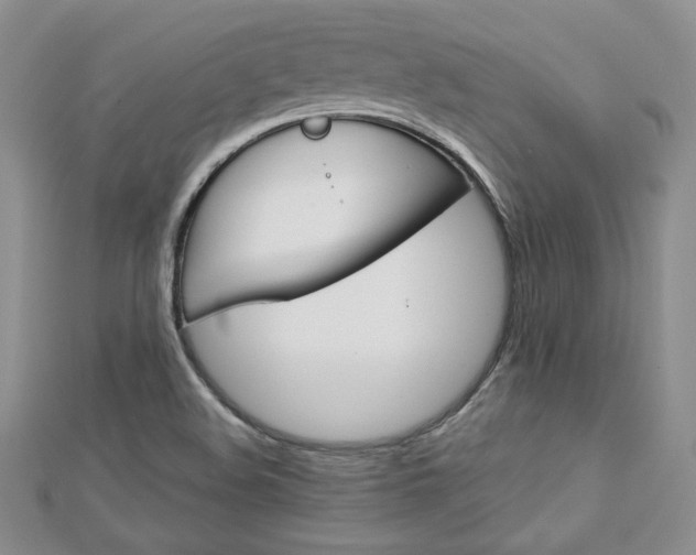 X0000113061508200908280935