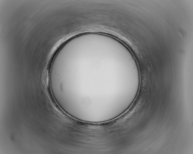 X0000113061509200908280935