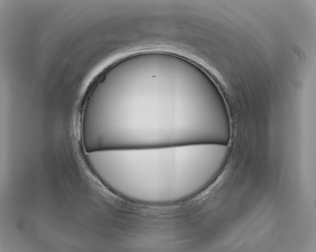 X0000113061510200908280935