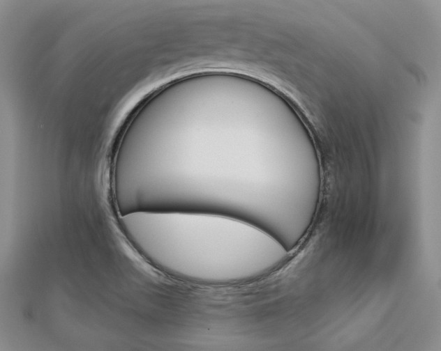 X0000113061511200908280935