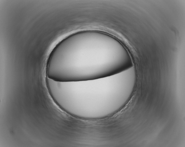 X0000113061512200908280935