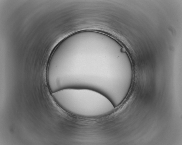 X0000113061513200908280935