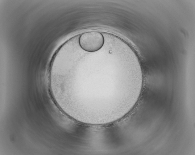 X0000113061514200908280935